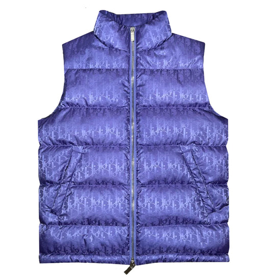 Dior Vest Purple